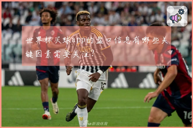 世界杯买球app的盘口信息有哪些关键因素需要关注？