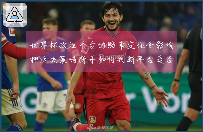 世界杯投注平台的赔率变化会影响押注决策吗新手如何判断平台是否可靠