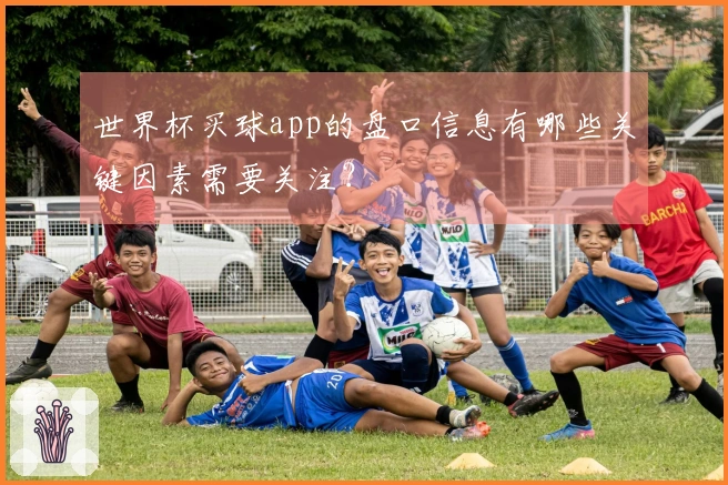 世界杯买球app的盘口信息有哪些关键因素需要关注？