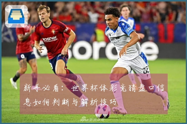 新手必看：世界杯体彩竞猜盘口信息如何判断与解析技巧